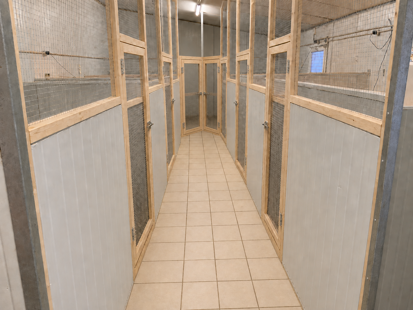 Couloir propre de la chatterie avec boxes individuels grillagés et portes en bois