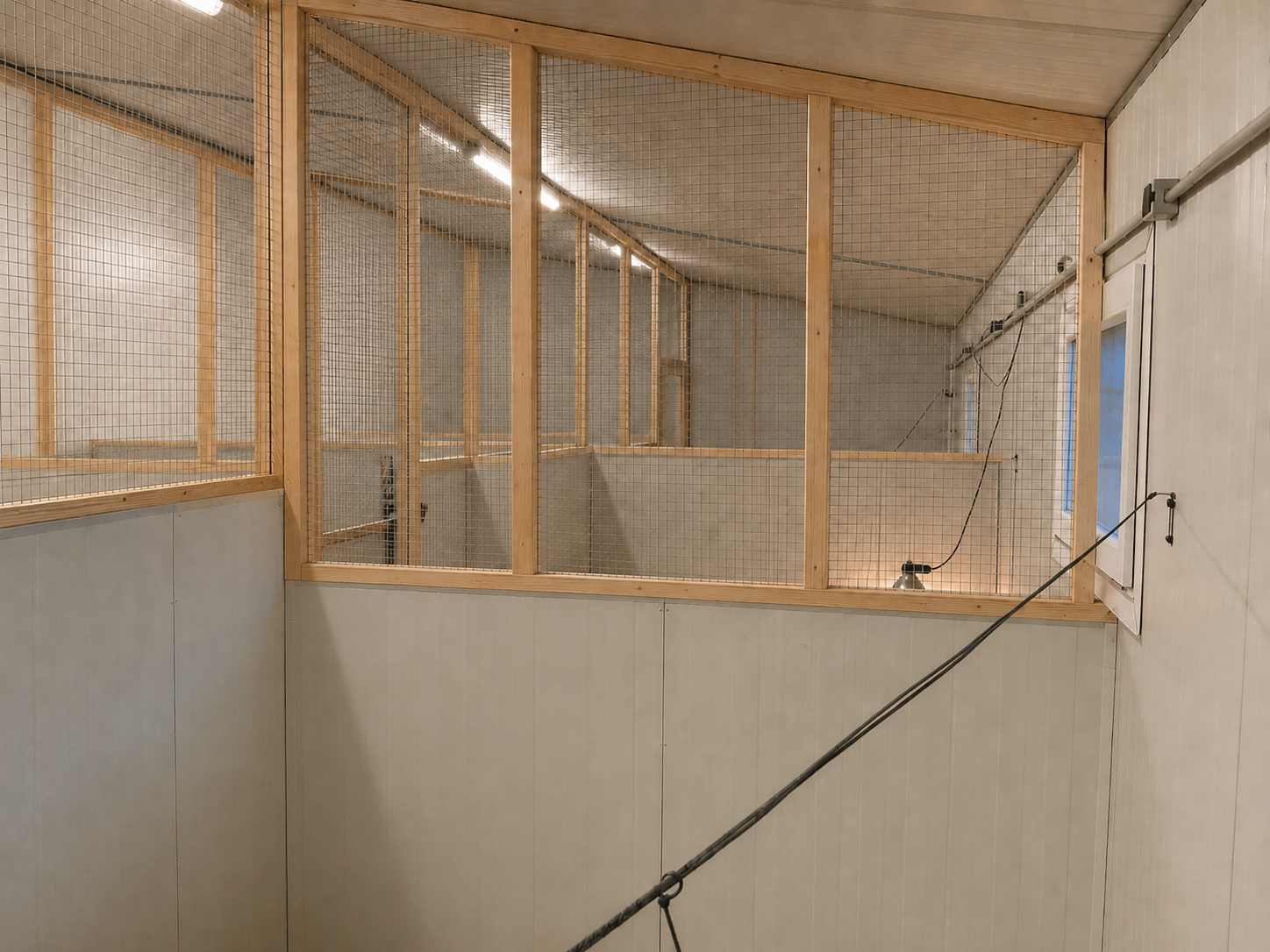 Espace intérieur lumineux et sécurisé de la pension pour chats